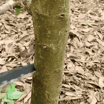 Sierra Garden Edge™: Cortes precisos y rápidos