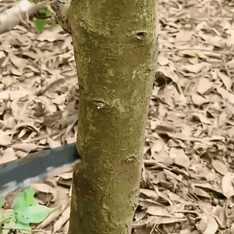 Sierra Garden Edge™: Cortes precisos y rápidos