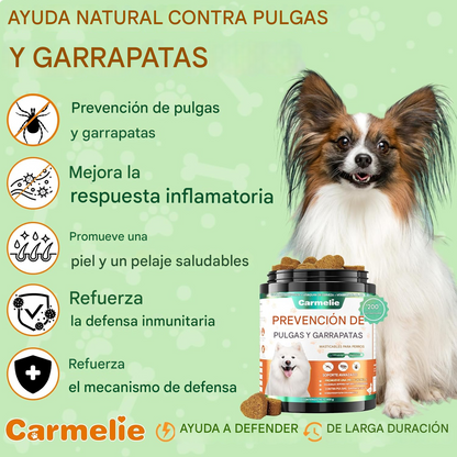 🐾 GarraProtect – Las croquetas que elimina y previene pulgas en tu mascota en 7 dias (200 croquetas)